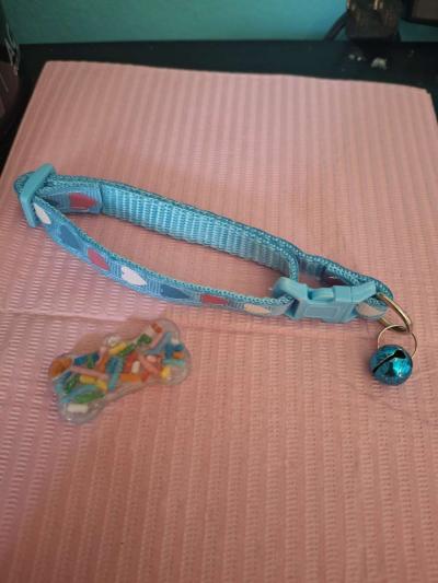 collar y id tag azul