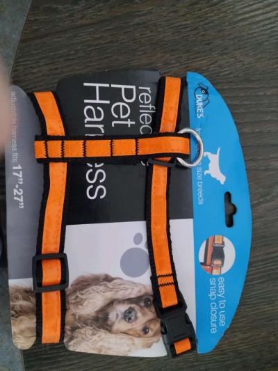 Large Dog Bowl and medium sized reflective harnesses for sal - Thumbnail 2