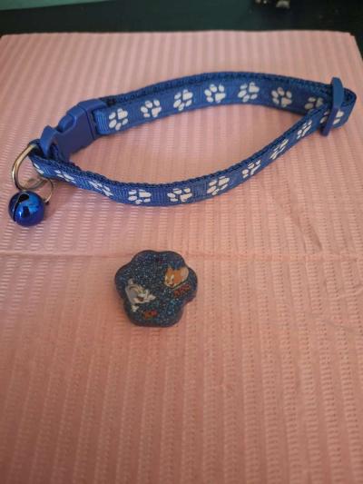 caollar y tag Id tom and jerry