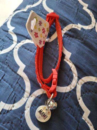 collar y id tag rojo - Thumbnail 2