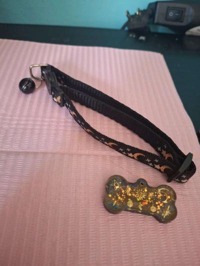 Collar y tag id Negro - Thumbnail 3