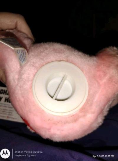 Vtg Care Bears Cheer Bear Plush Coin Bank - Thumbnail 5