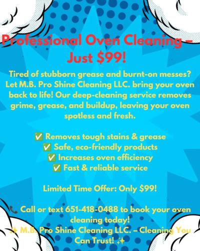 Professional Oven Cleaning
