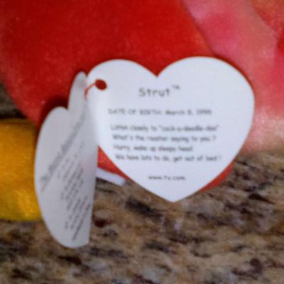 ty STRUT BEENIE BABY Very rare with error - Thumbnail 5
