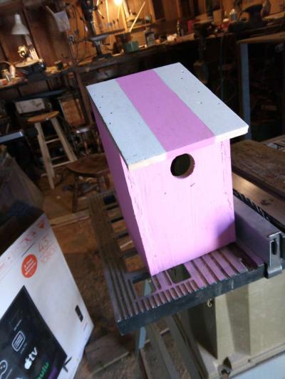 bird house - Thumbnail 3