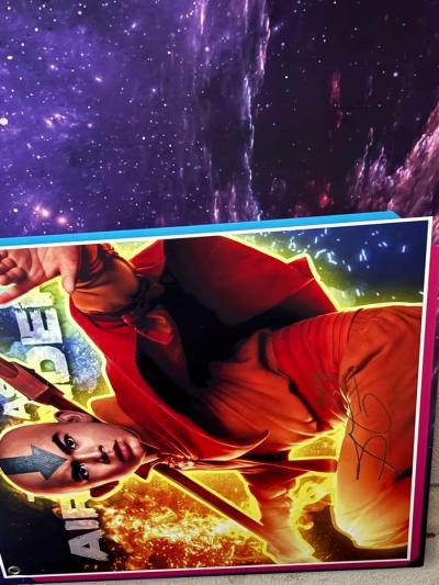 These are big panels signed by the actress or voice actor - Thumbnail 3