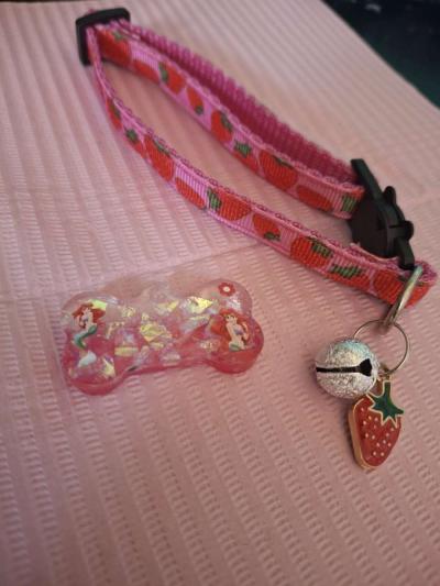 collar y id tag ariel - Thumbnail 2