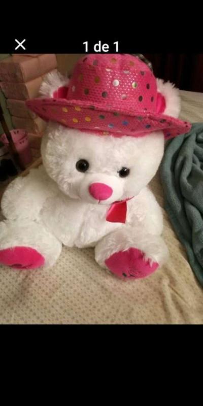 teddy bear - Altamonte Springs, Florida