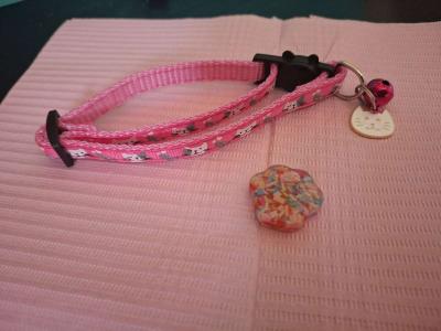 Collar y tag id Sprinkles