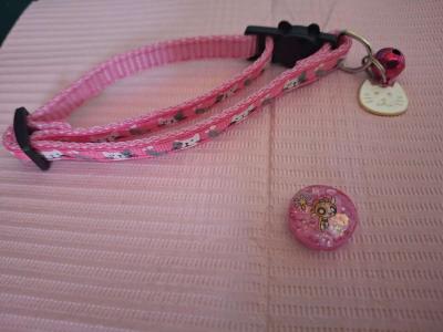 Collar y Tag Id PPG Rosa