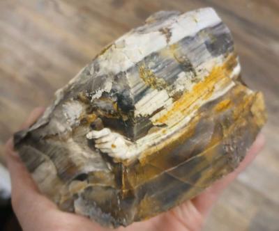 petrified wood - Thumbnail 2