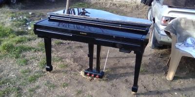 Baby Grand Recorder Piano - Thumbnail 2