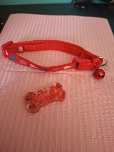 collar y tag id rojo