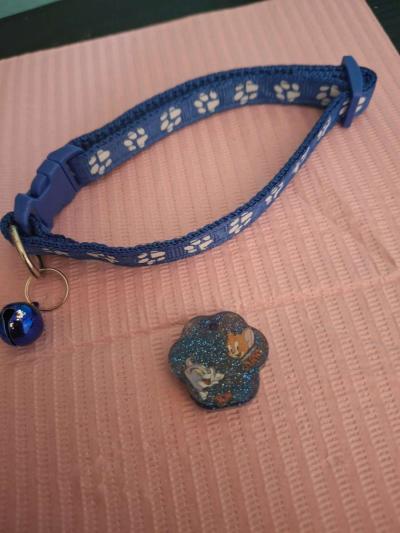 caollar y tag Id tom and jerry - Thumbnail 2