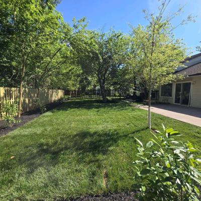 paisajismo y pavimento - Thumbnail 6