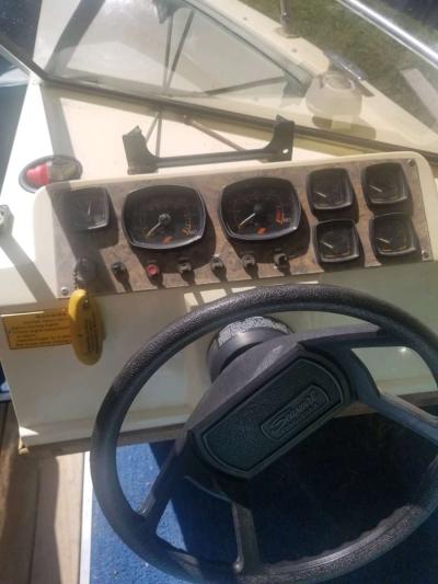 Seaswirl Ski Boat - Thumbnail 3