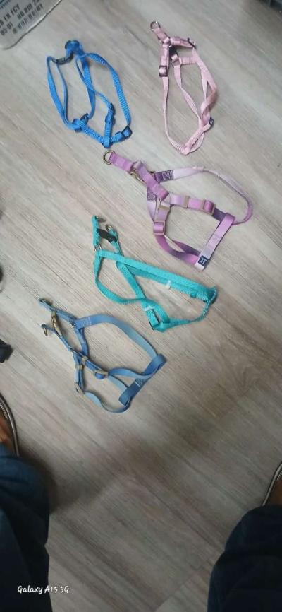 harnesses dog size small to large and different types - Thumbnail 5