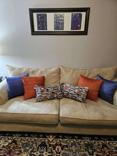 livingroom furniture with rug available on June 10th - Thumbnail 2