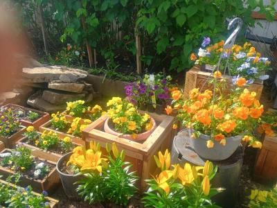 Beautiful live flower boxes tools much more - Thumbnail 3