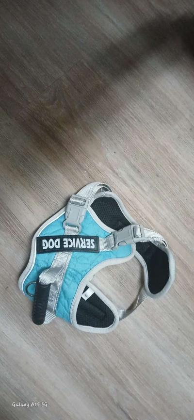 harnesses dog size small to large and different types - Thumbnail 3