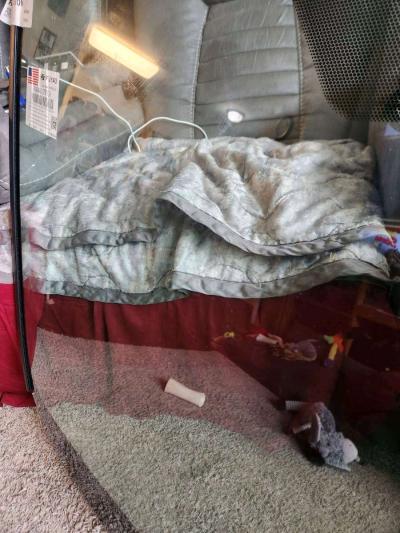 2017 Toyota Rav 4 Front Windshield - Thumbnail 6