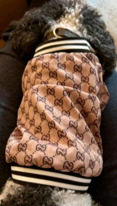 DOG JACKET  WITH GUCCI PRINT - Thumbnail 2