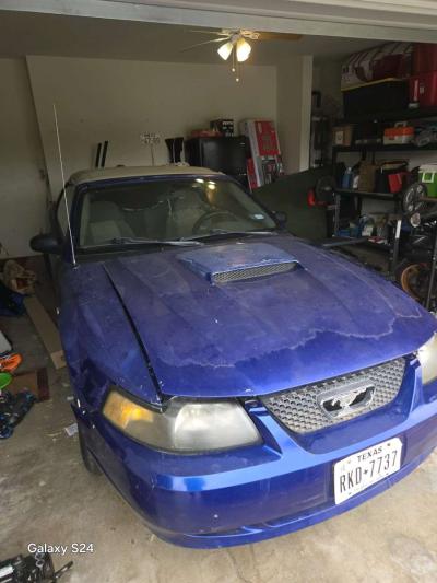 2 Mustang - Thumbnail 6