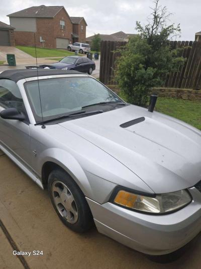 2 Mustang - Thumbnail 3