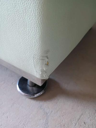 Celadon color Leather couch  FREE DELIVERY IF NEEDED - Thumbnail 5