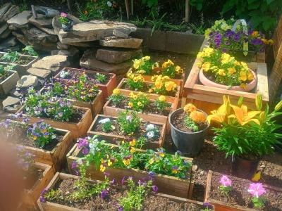 Beautiful live flower boxes tools much more - Thumbnail 2