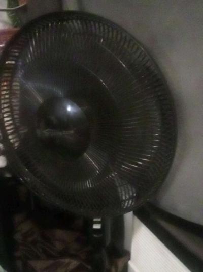 two Fans