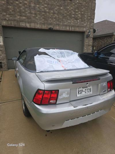 2 Mustang - Thumbnail 4