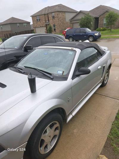 2 Mustang - Thumbnail 5