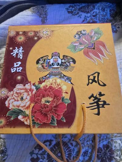 large minature kite - Thumbnail 4