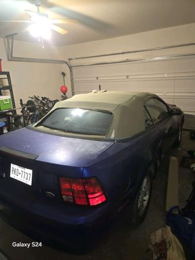 2 Mustang - Thumbnail 2