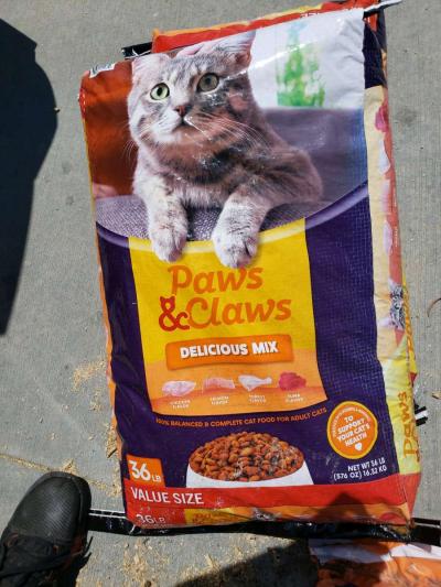 dry cat food dry dog food - Thumbnail 2