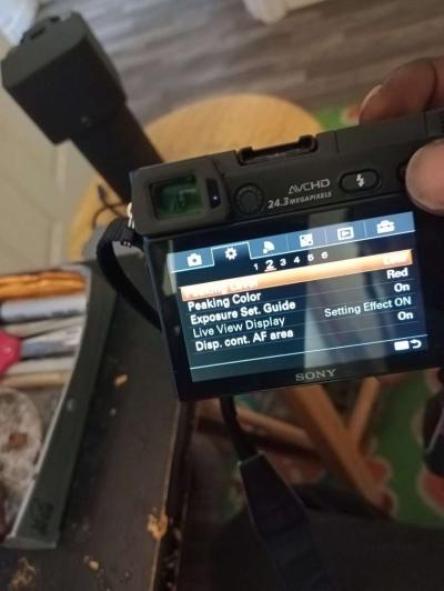 Sony Alpha a6000 Body  Lens - Thumbnail 5