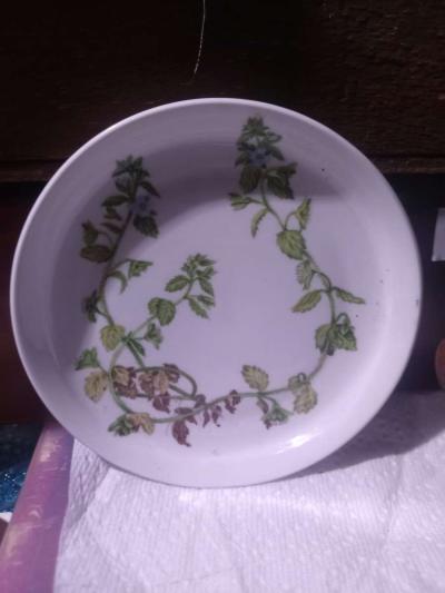 collectable plates - Thumbnail 6