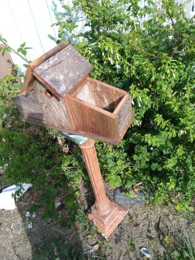 birdhouse - Thumbnail 3