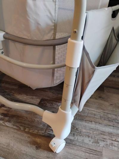 Moiss cunita - Thumbnail 3