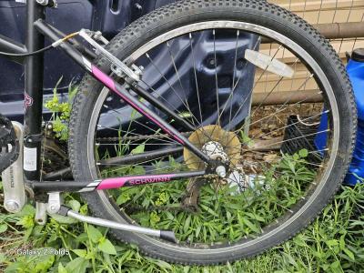 Ladies 26 schwinn bike - Thumbnail 3