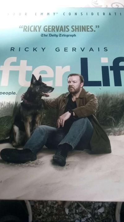 directors cut movie collections - Thumbnail 6