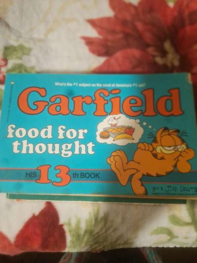 1978 to 1980 Garfield comics