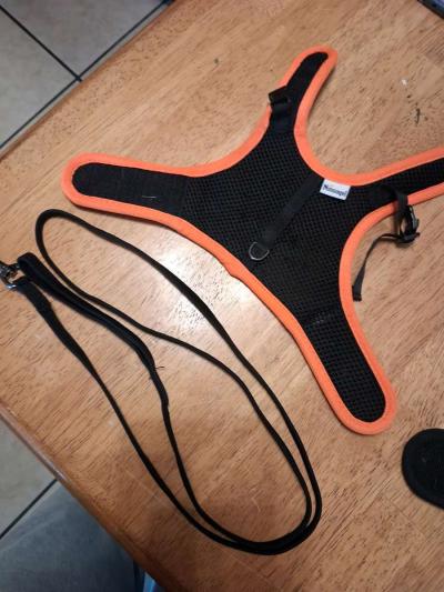 2 bunny harnesses n leashes - Thumbnail 5