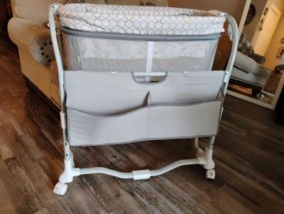 Moiss cunita - Thumbnail 4