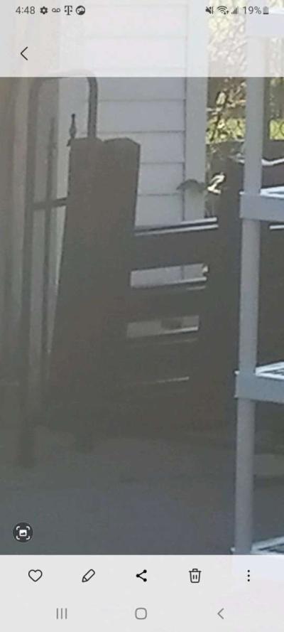 twin wooden headboard footboard set - Macomb, Michigan