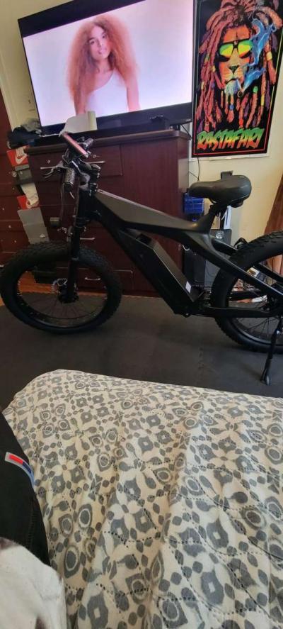 Im selling  a carbon fiber fat tire Ebike - Thumbnail 3