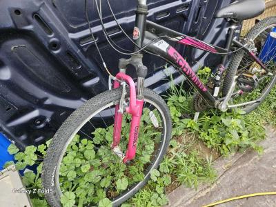 Ladies 26 schwinn bike - Thumbnail 2