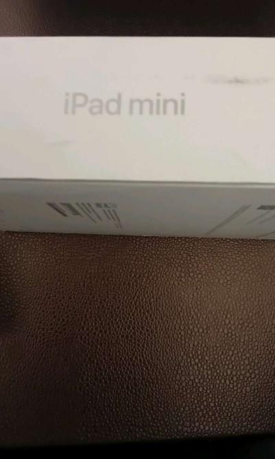 Apple iPad Mini 17 For Sale 400 - Thumbnail 2