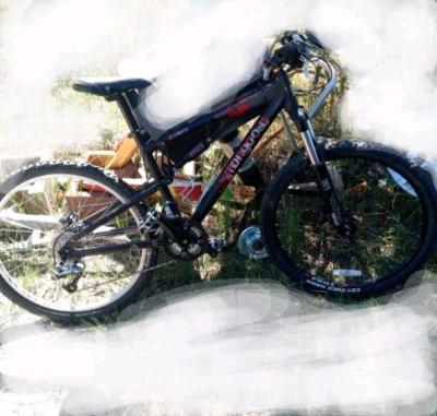 adult mountain bike